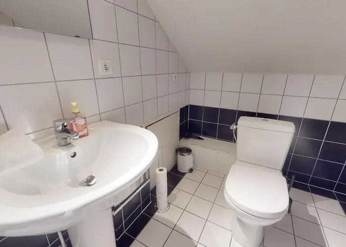 沃邦科尔马尔公寓 * 科尔马